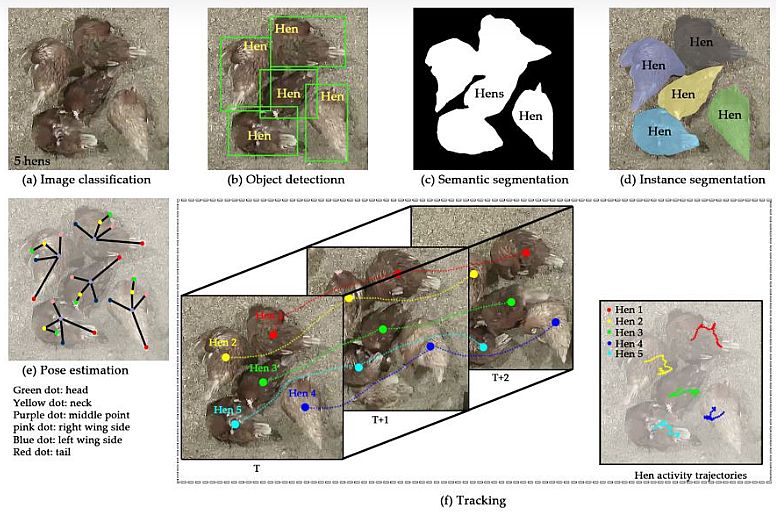 Image Fusion in Agricultural Remote Sensing