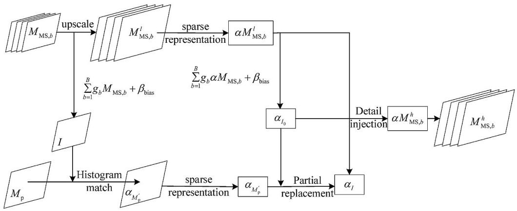 Sparse Representation Model for IF