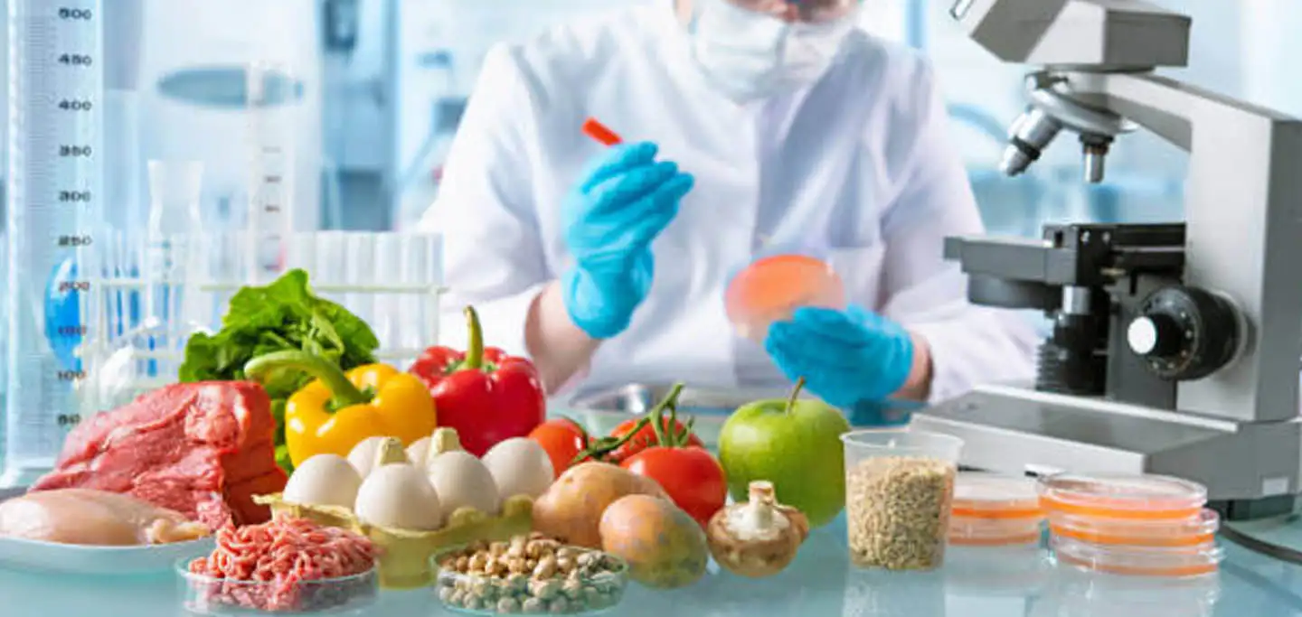 AI Monitoring Safeguards Hygiene and Quality in Food Processing Plants- ProX PC